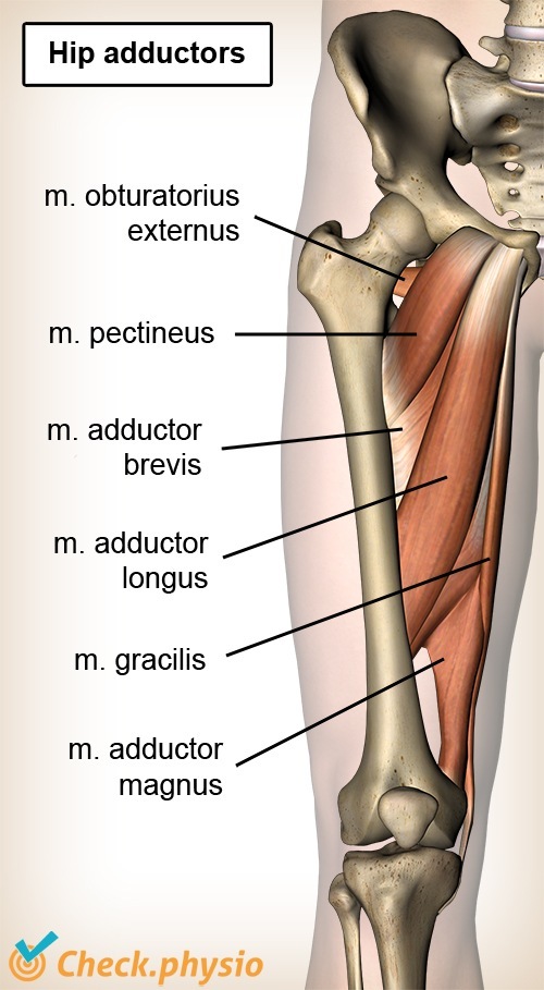Adduction-related groin pain
